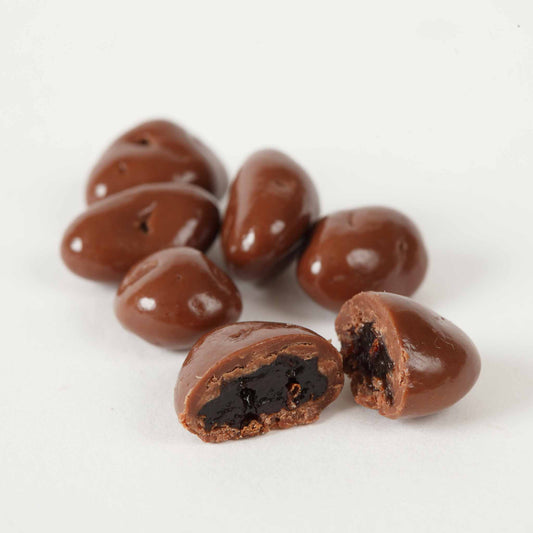 Chocolate Covered Raisins NSA No Sugar Added Piece Closeup