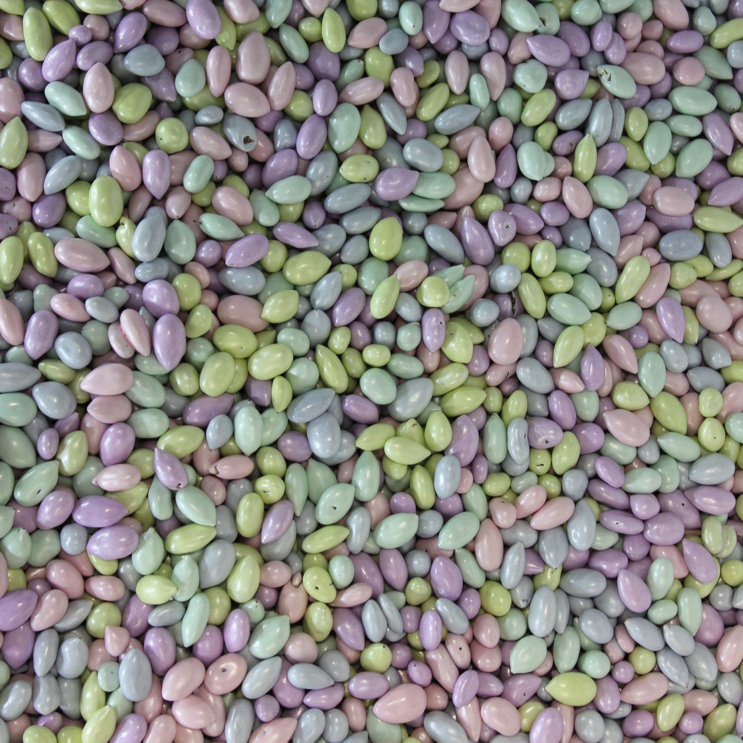 Pastel Sunbursts (Sunflower Seeds)